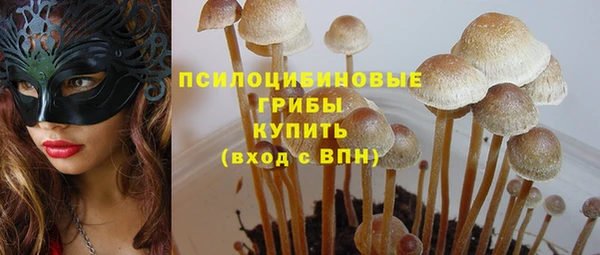 ПСИЛОЦИБИНОВЫЕ ГРИБЫ Верхнеуральск