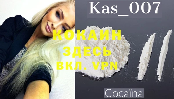 ПСИЛОЦИБИНОВЫЕ ГРИБЫ Верхнеуральск